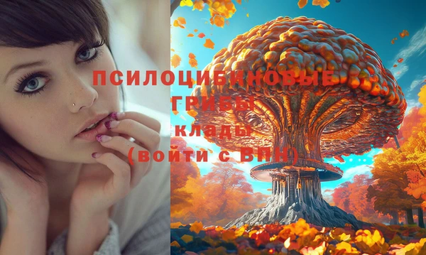 каннабис Арсеньев