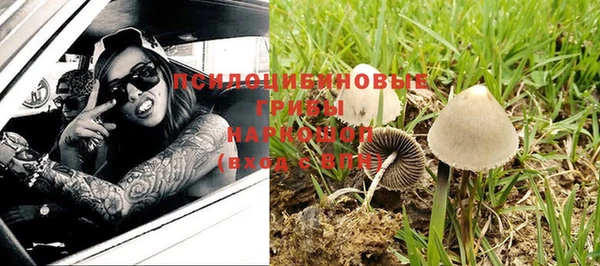 каннабис Арсеньев