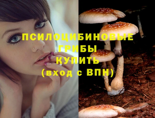 каннабис Арсеньев