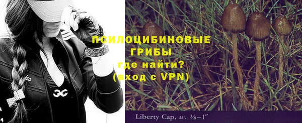 apvp Армянск